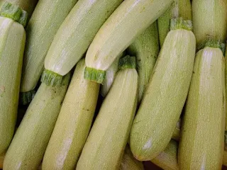Нереальная вкусность на вашем столе за 15 минут: один кабачок и стакан овсянки