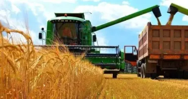 Жатва-2025: в каких регионах собрали больше всего зерна