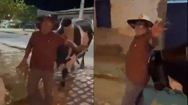 Мужчина выпил лишнего на вечеринке: гуляку домой проводил бычок (видео)