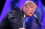 Трамп планирует развернуть американские частные армии в Украине — инсайдеры