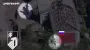 "Азовцы" зафиксировали расстрел россиянами гражданского в Донецкой области