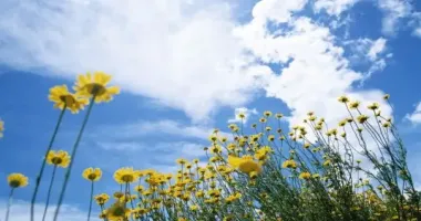 Синоптики розповіли, яким буде останній день літа