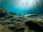 Ученые нашли решение одной из самых серьезных проблем человечества