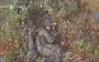 Soldiers of 32nd SMB attacked at least seven Russian invaders in field, on road and in bushes. VIDEO