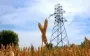 Шостка залишилась без світла через російську атаку