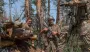 ЗСУ відбили 62 штурми армії РФ від початку доби