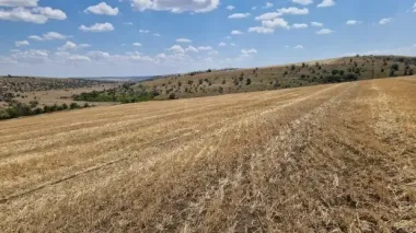На Одещині виявили незаконну оранку лісу: збитки державі — понад пів мільйона гривень