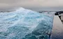 Моряки рассказывали об этом веками: ученые подтвердили древнюю морскую легенду