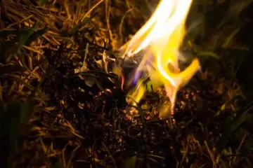 Небезпечна звичка: на Житомирщині та Рівненщині зафіксували підпали сухостою