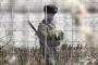 КНДР потеряла в войне против Украины 2 000 военных: сколько отправят в третьей партии, — Yonhap