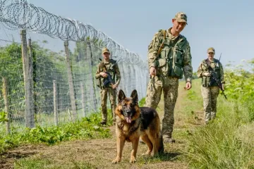 Перелезал через забор: на границе Одесской области и Молдовы застрелили мужчину, – СМИ