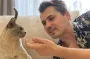Коти вміють приносити іграшки, як собаки: але тільки якщо матимуть настрій
