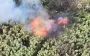Drones of "Magyar’s Birds" unit tear invader to pieces. VIDEO