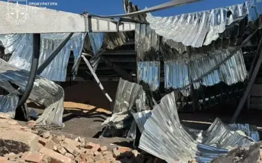 One injured in missile strike on grain warehouse in Odesa region. PHOTOS