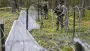 "Зубы дракона" и немецкая танковая бригада: как Литва укрепила границу с Россией (фото)