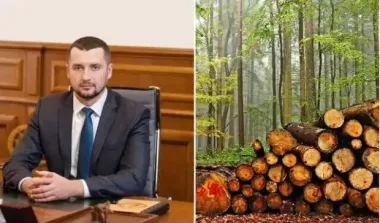 Кримінальний менеджмент по-українськи: як гендиректор ДП "Ліси України" Юрій Болоховець керує із СІЗО