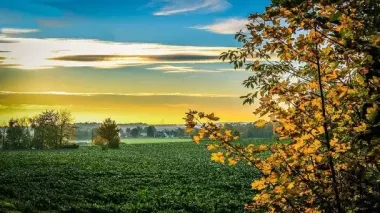 Українців очікує справжнє літо: прогноз погоди на 5 вересня