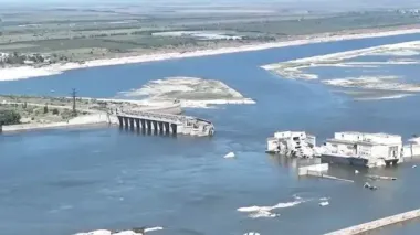 Що росте на місці Каховського водосховища після підриву дамби: дослідники розповіли