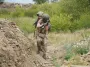 ВС РФ продвинулись в Юнаковке, Серебрянском лесничестве и вблизи Январского, — DeepState (карты)