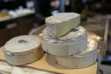 Восени сири здорожчають ще більше: українці переходять на дешеві альтернативи