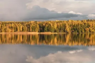 День ангела 8 вересня: кого та як вітати з іменинами