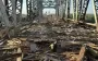 Появились кадры поврежденного РФ моста в Кременчуге