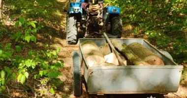 Двоє жителів Тернопільщини сядуть до в’язниці за незаконну порубку дерев