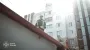 Emergency and rescue operations in the Sviatoshynsky district of capital completed – SES