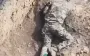 About 10 occupiers hiding in trenches and tree line eliminated by drones of 82nd SAAB. VIDEO