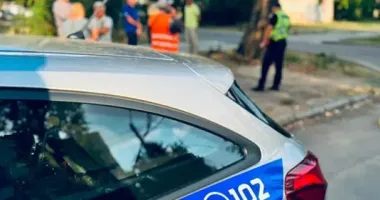 У Миколаєві в тепломережі знайшли муміфіковане тіло