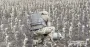 На Днепропетровщине в поле уничтожили боевую часть российского дрона