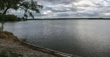 На Черкащині прокуратура оскаржує оренду заказника "Лебедине озеро"