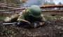 В шортах на полигон: на Черниговщине мобилизованных сразу бросают на БЗВП, — соцсети (видео)