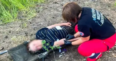 Пішла по журавлину і заблукала: на Рівненщині пенсіонерку врятували з болота