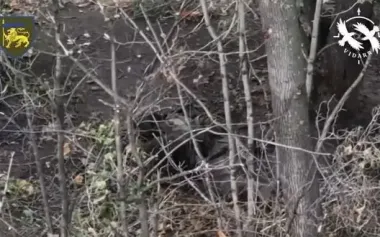 Ukrainian kamikaze drones staged "game of hide-and-seek" for occupiers: seven Russian soldiers eliminated. VIDEO