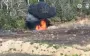 Ukrainian drone eliminates occupier carrying fuel canister – only ash remains. VIDEO
