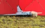 Russia has been preparing drone attacks on Poland since July: Polish SIM cards have already been found on UAVs, - media