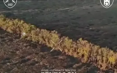Ukrainian forces mine tree line with occupiers and launch assault with drone support. VIDEO