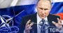 "Немного обпалить бороду Путина" и не развязать Третью мировую: как НАТО должно ответить на атаку дронов