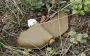 Russians daily camouflage "petal" mines among grass and garbage in Kherson - RMA
