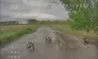 Сидели в засаде: украинский FPV-дрон нашел и уничтожил БПЛА-"ждунов" РФ (видео)