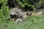 "Из моей винтовки ликвидировали тестя Гиркина": снайпер ВСУ из Луганска рассказал о своей работе