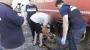 Держбезпека Грузії звинуватила СБУ у ввезенні вибухівки в країну