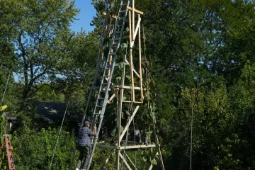 The world's tallest sunflower blooms in an Indiana backyard as a tribute to Ukraine