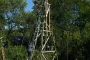 The world's tallest sunflower blooms in an Indiana backyard as a tribute to Ukraine