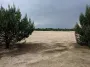 Природная аномалия Львовщины: в лесах появилась настоящая пустыня