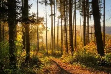 Осінь набирає обертів: прогноз погоди в Україні на тиждень, 15-21 вересня