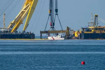 Хищники на охоте: стая косаток нападает на яхты возле популярных курортов