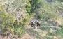 Steel Border drones thwarted Russian assault in North Slobozhanskyi direction. VIDEO