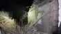 Russians strike transport company in Dnipropetrovsk Oblast, injuring woman – photos